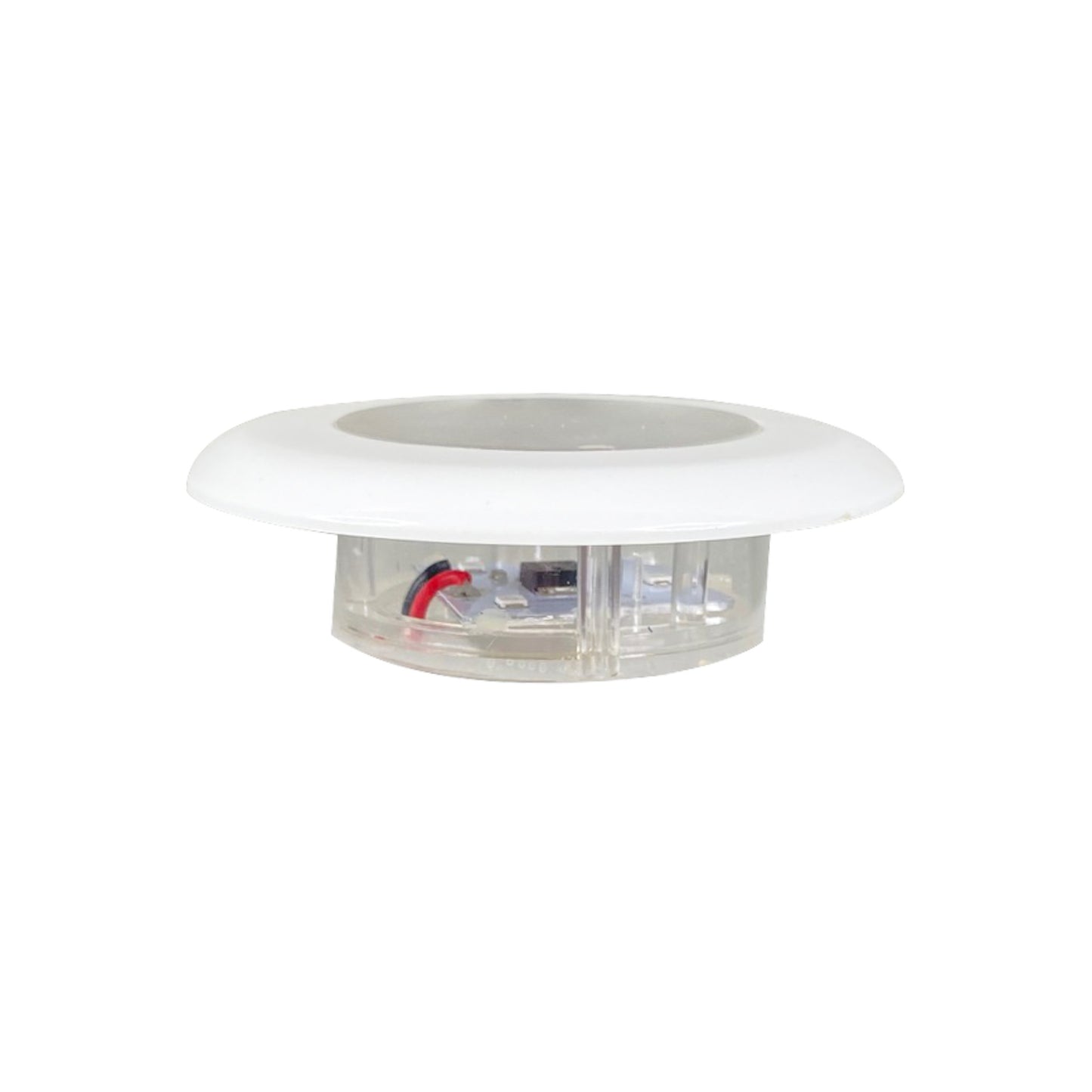 Pactrade Marine Boat LED 3 Blue Colored Round Courtesy Light ODM