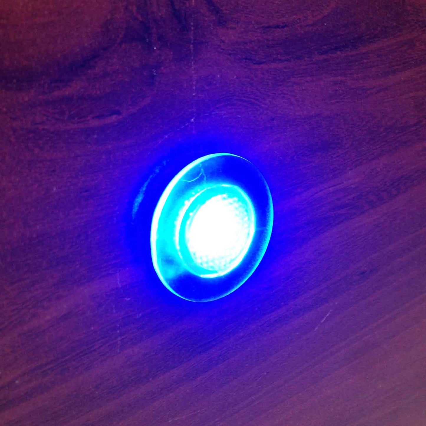 Pactrade Marine Boat LED Live Well Round Button Courtesy Light OEM Waterproof, Blue