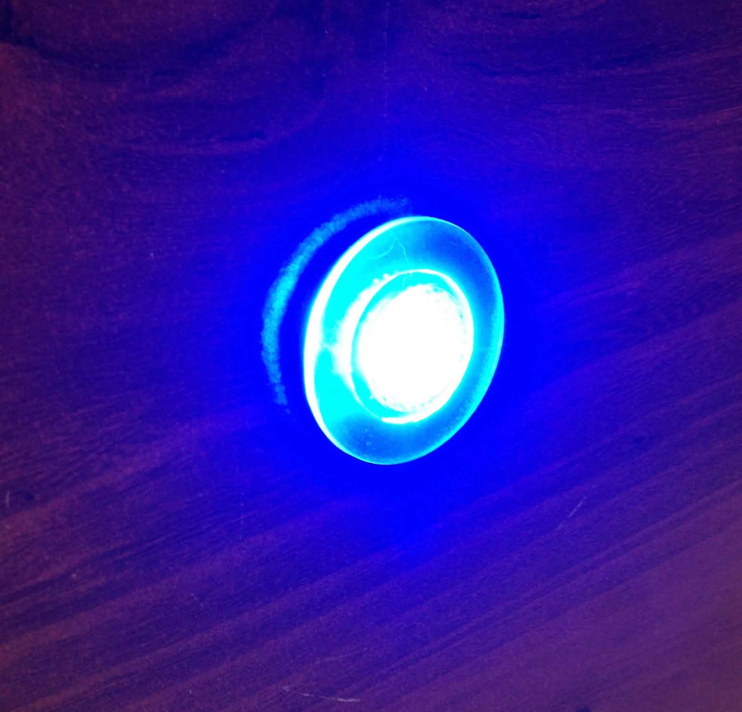 Pactrade Marine Boat LED Live Well Round Button Courtesy Light OEM Waterproof, Blue