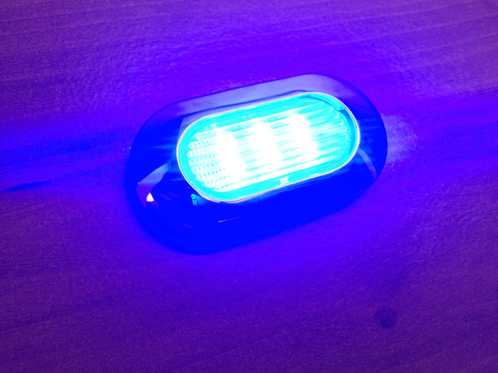 Pactrade Marine Boat Blue LED Light SS304 Housing Surface Mount 12V 22 Lumen IP67 6 LEDs