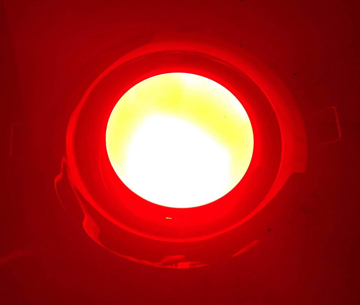 Pactrade Marine Boat LED Ceiling Light Flush Mount W/ Clips SS Rim Cool White Red Color