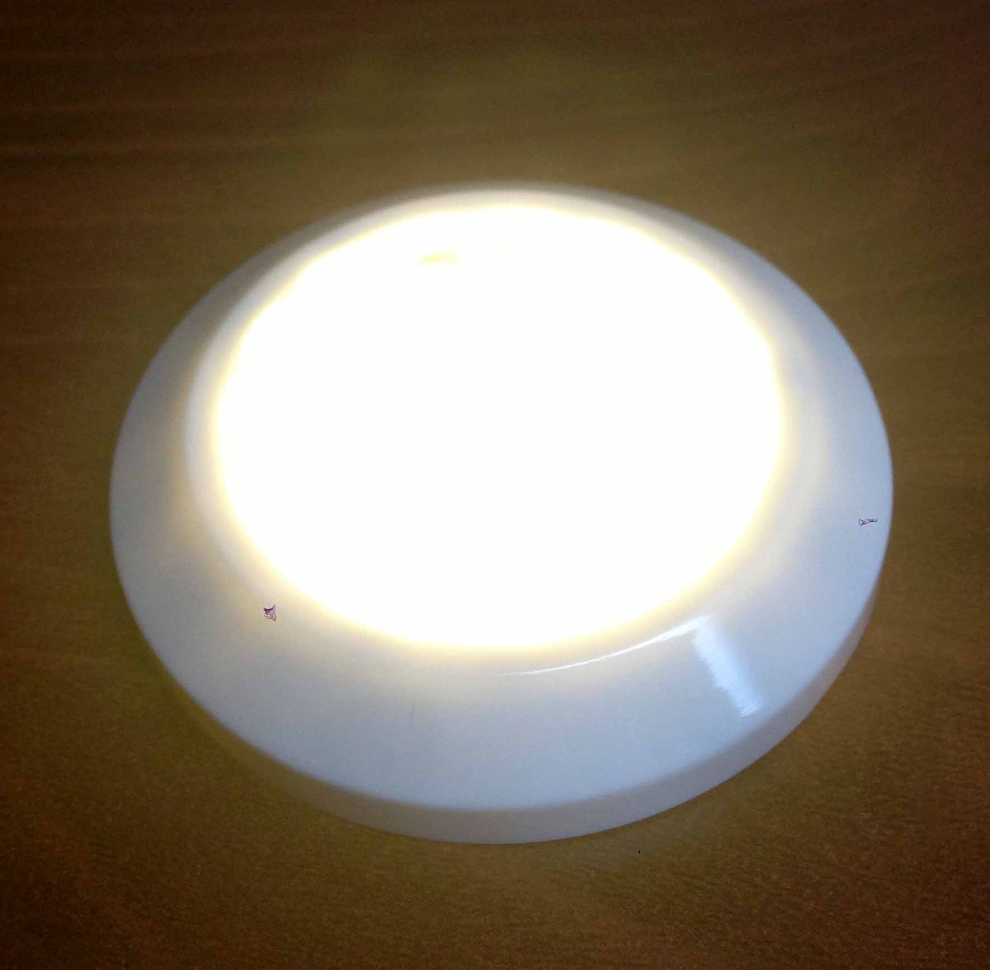 Pactrade Marine Boat LED Round High Accent Ceiling Light IP44 Waterproof Surface Mount