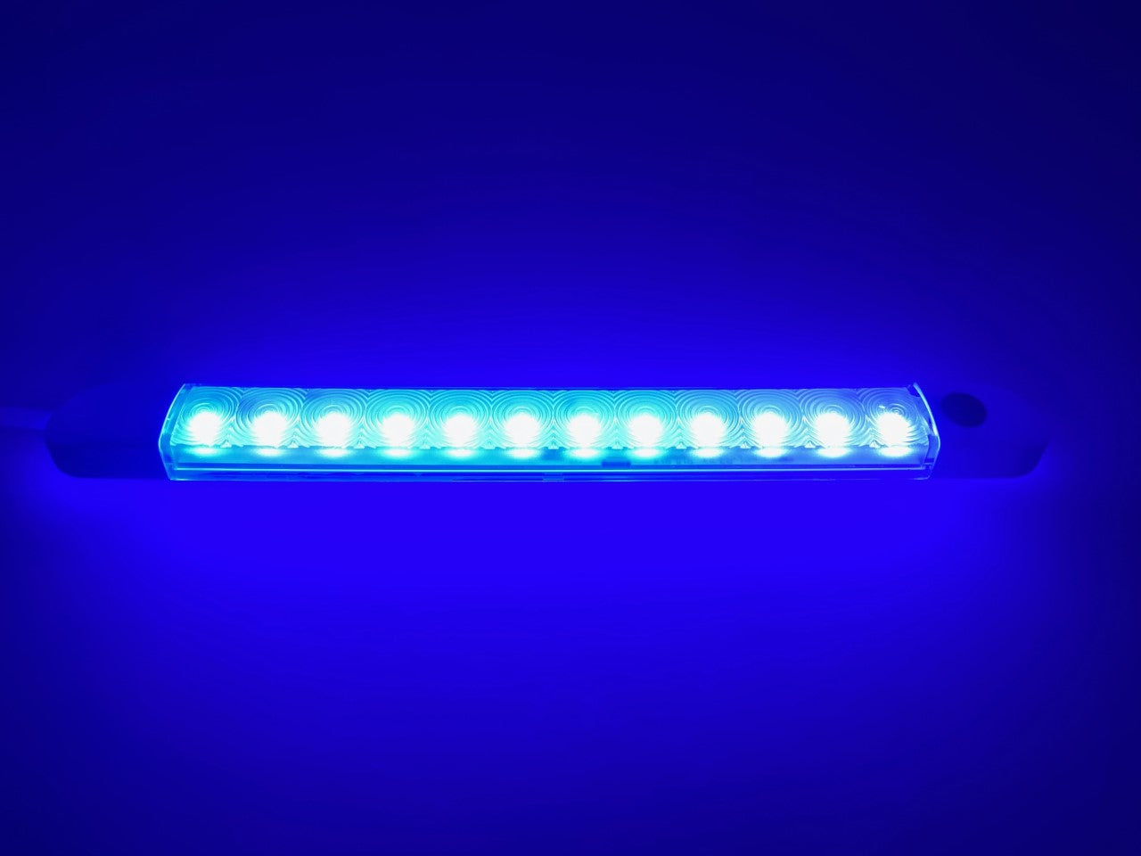 Pactrade Marine LED Strip Courtesy Light White PC Plastic Housing Nature White Surface Mount with Switch DC12V 4WCE RoHS Certified 9-1/2"x1/2" x7/8" (Nature White/Blue)